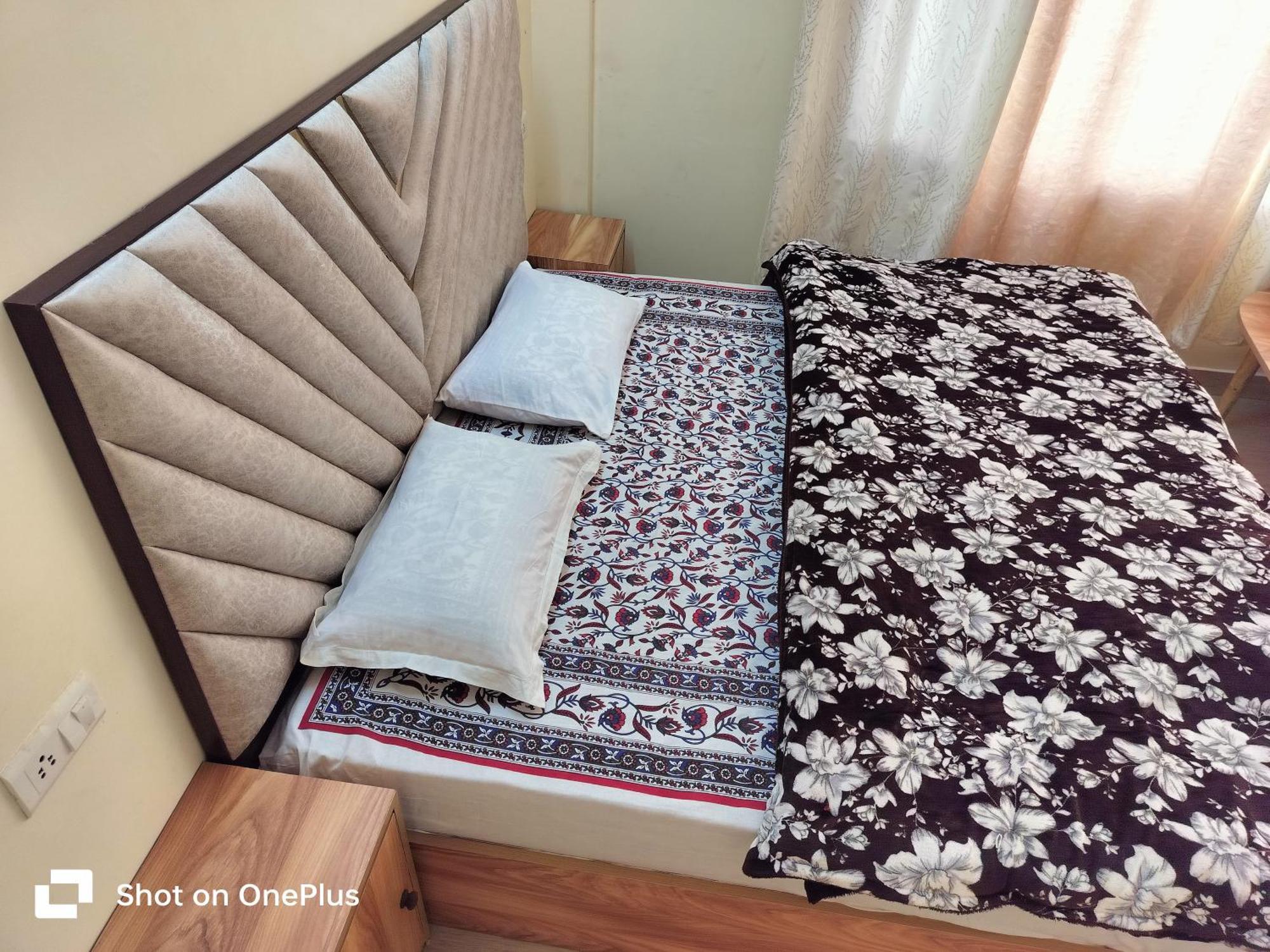 Shimla Vibes B & B Free Pick & Drop From Isbt Shimla Extérieur photo